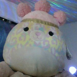 Squish doos squishmallow